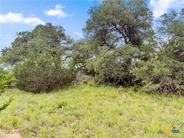 141 Vista View Pl, Spring Branch, TX 78070 - photo 3