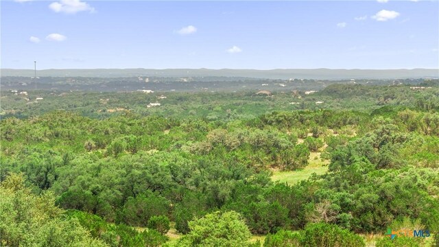 141 Vista View Pl, Spring Branch, TX 78070 - photo 21