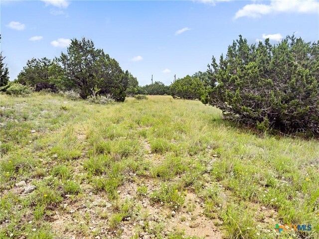 141 Vista View Pl, Spring Branch, TX 78070 - photo 12