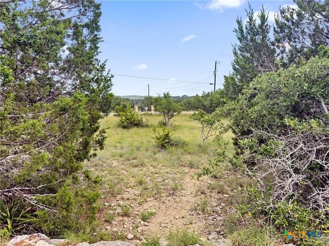 141 Vista View Pl, Spring Branch, TX 78070 - photo 6
