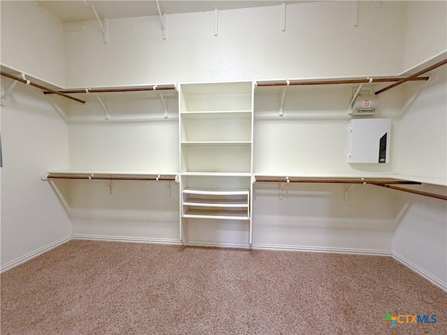 spacious closet featuring carpet floors