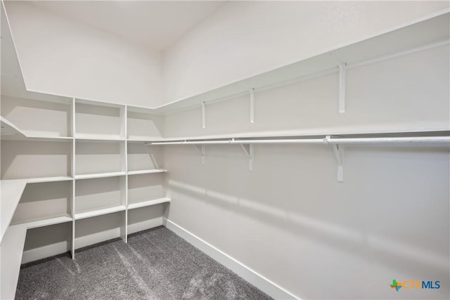 walk in closet with dark carpet