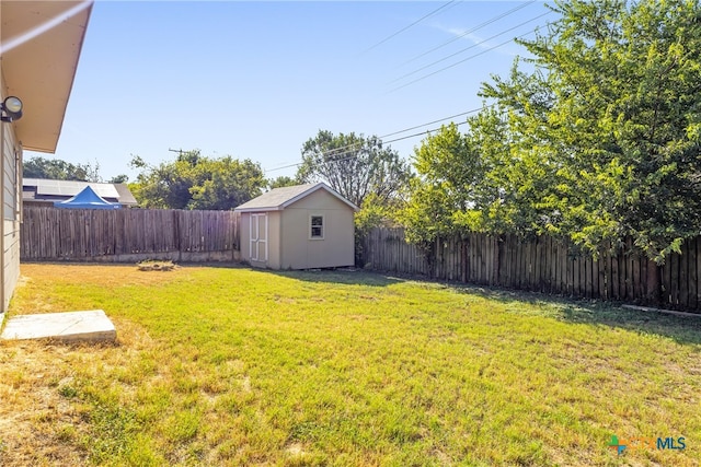 view of yard featuring a storage shed