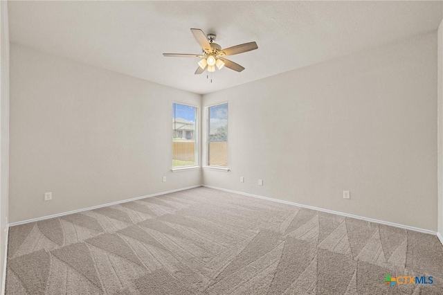6703 Aquamarine Dr, Killeen, TX 76542 - photo 12
