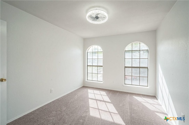 unfurnished room featuring light colored carpet