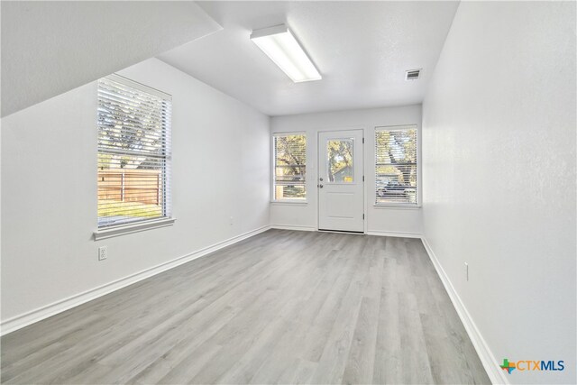 interior space featuring light wood-type flooring and a wealth of natural light