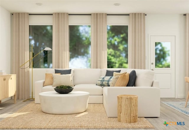 living room featuring light hardwood / wood-style floors