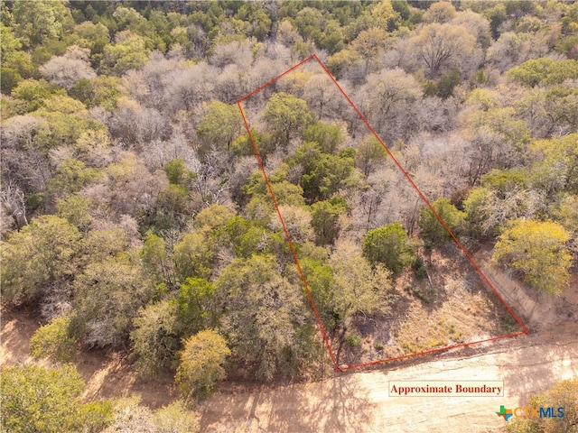 TBD Hanauma, Bastrop TX, 78602 land for sale