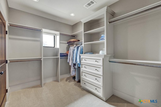 1746 Stagecoach Dr, Canyon Lake, TX 78133 - walk in closet with light carpet