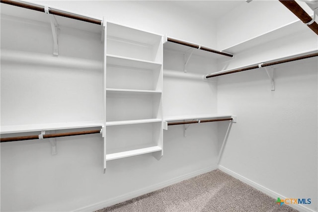 spacious closet with carpet