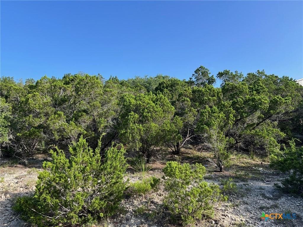280 Scenic Hills Dr, Canyon Lake, TX 78133 - photo 1