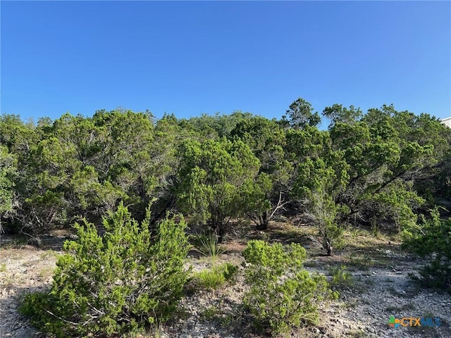280 Scenic Hills Dr, Canyon Lake, TX 78133 - photo 1