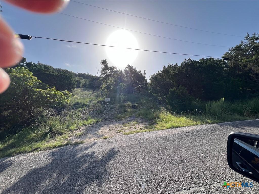 280 Scenic Hills Dr, Canyon Lake, TX 78133 - photo 4
