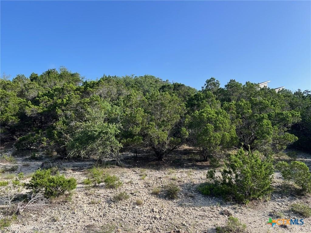 280 Scenic Hills Dr, Canyon Lake, TX 78133 - photo 2