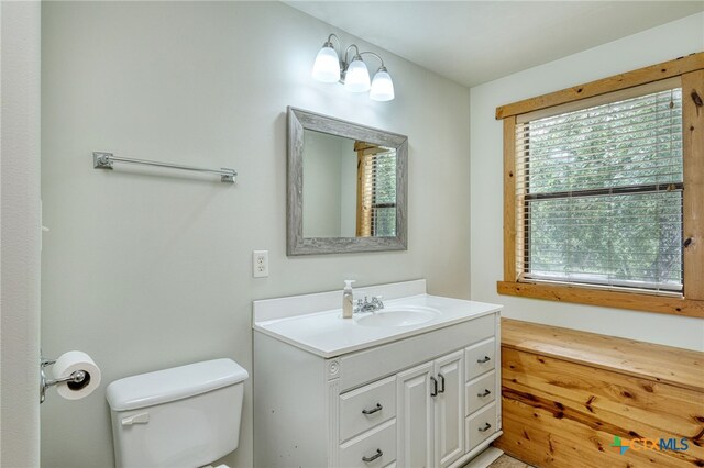 bathroom featuring vanity and toilet