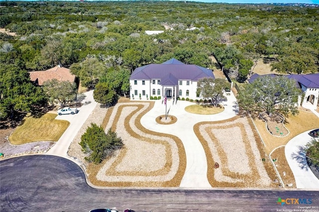 bird's eye view
