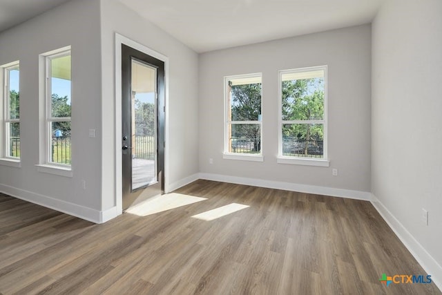 unfurnished room featuring a wealth of natural light and wood-type flooring