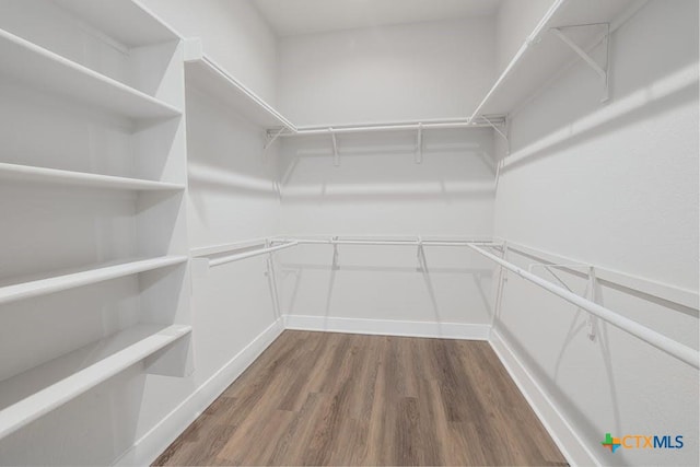 walk in closet featuring dark wood-type flooring