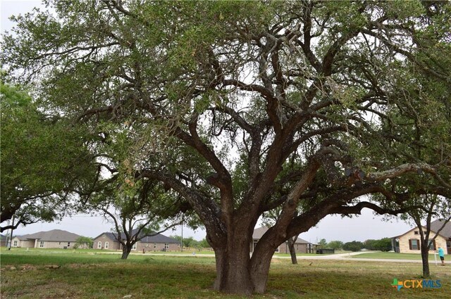 425 County Road 3152, Kempner, TX 76539 - view of community with a lawn