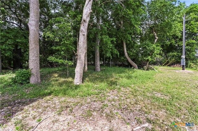 3222 Fm 1117, Seguin, TX 78155 - photo 8