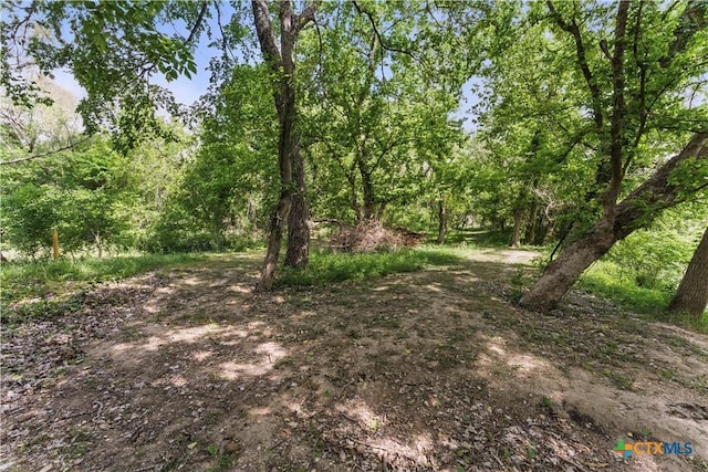 3222 Fm 1117, Seguin, TX 78155 - photo 15