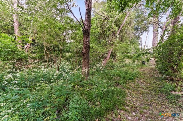 3222 Fm 1117, Seguin, TX 78155 - photo 10
