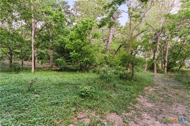 3222 Fm 1117, Seguin, TX 78155 - photo 11