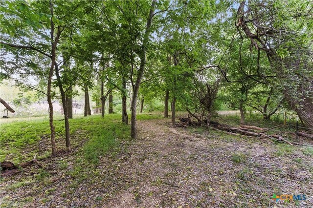 3222 Fm 1117, Seguin, TX 78155 - photo 29