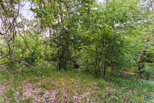 3222 Fm 1117, Seguin, TX 78155 - photo 25