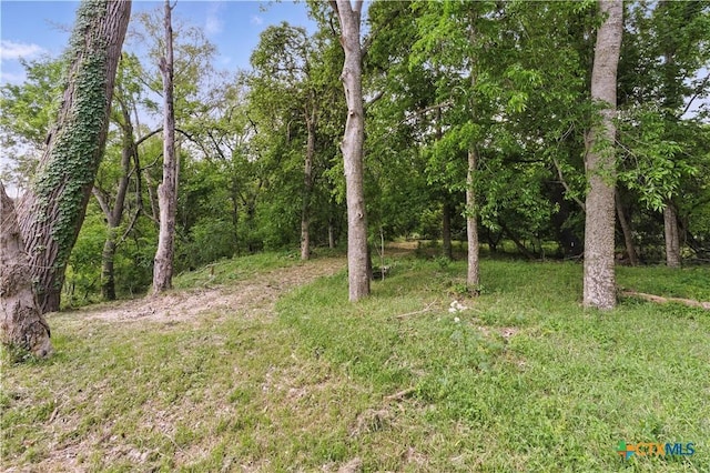3222 Fm 1117, Seguin, TX 78155 - photo 5