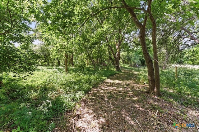 3222 Fm 1117, Seguin, TX 78155 - photo 22