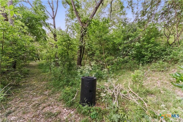 3222 Fm 1117, Seguin, TX 78155 - photo 9