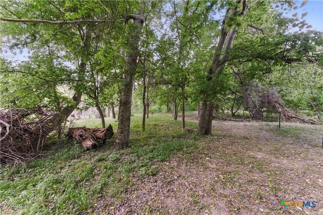 3222 Fm 1117, Seguin, TX 78155 - photo 30