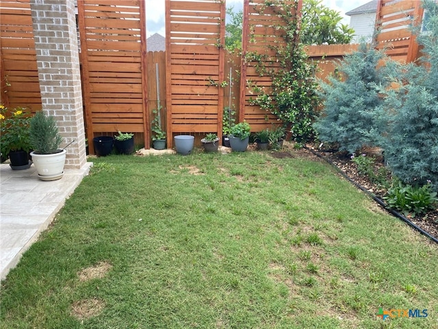429 Juana Way, New Braunfels, TX 78132 - view of yard
