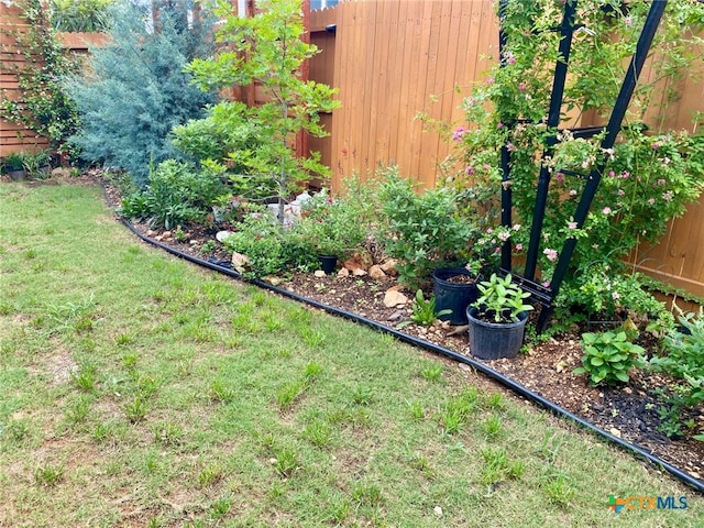 429 Juana Way, New Braunfels, TX 78132 - view of yard