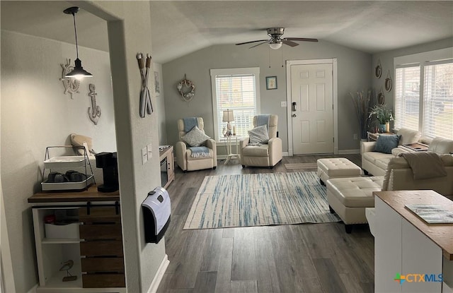 living room featuring lofted ceiling, wood finished floors, and a healthy amount of sunlight