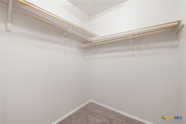 walk in closet with carpet flooring