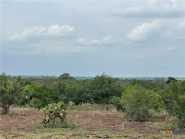 1776 Fm 1351, Goliad TX, 77963 land for sale