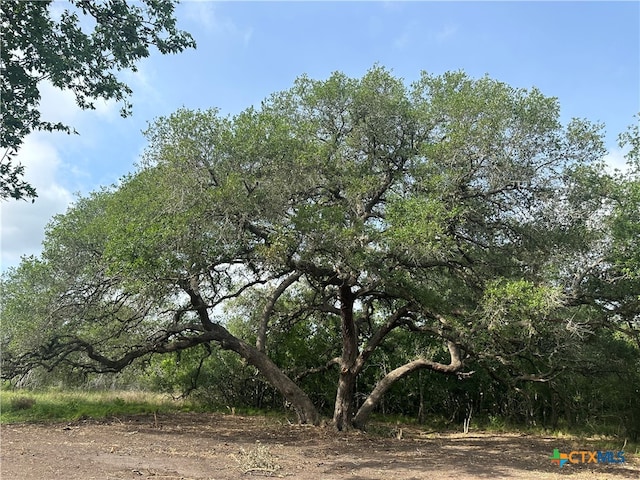 Listing photo 2 for 1776 Fm 1351, Goliad TX 77963