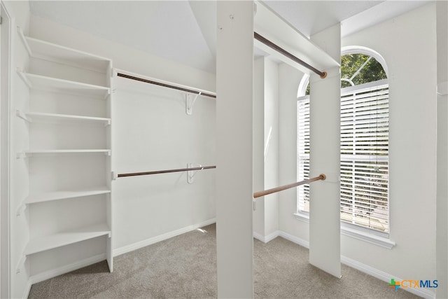 walk in closet with carpet