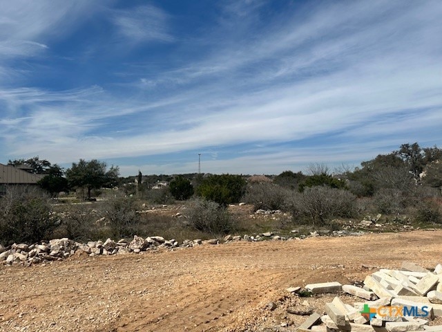 view of local wilderness