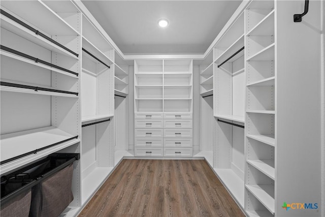 walk in closet featuring dark wood-type flooring