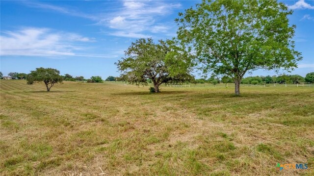000 Levi Sloan Rd, Victoria, TX 77904 - photo 12