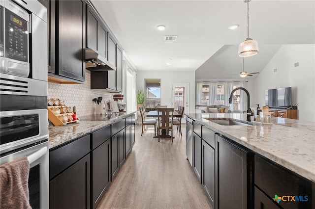 427 Bluejack Way, Hutto, TX 78634 - kitchen with stainless steel appliances, a sink, under cabinet range hood, light wood-type flooring, and tasteful backsplash