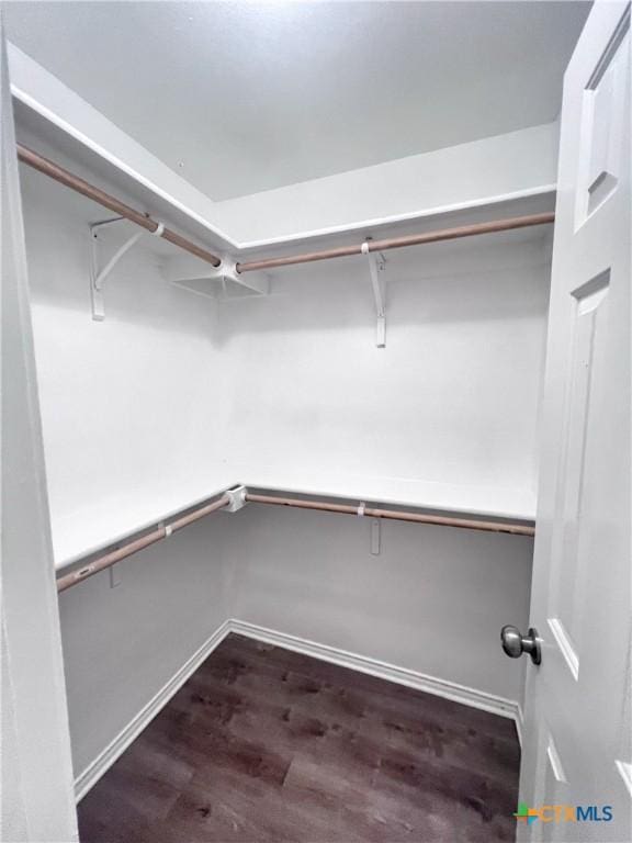 spacious closet with dark wood-style flooring