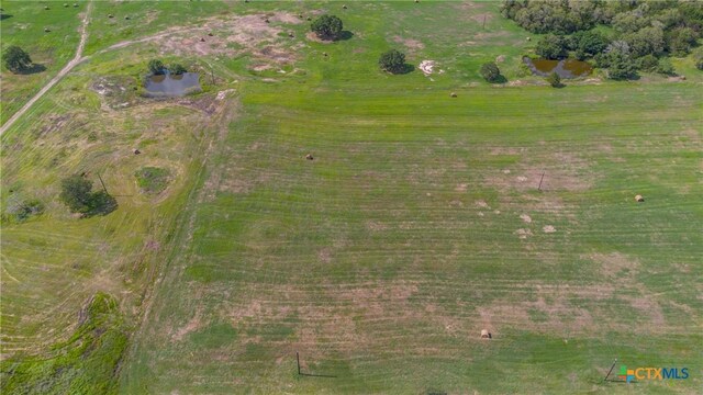 TBD Davis Rd, Smithville, TX 78957 - photo 10