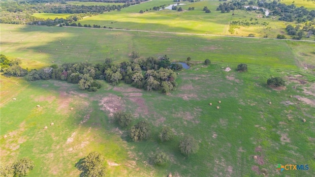 TBD Davis Rd, Smithville, TX 78957 - photo 15