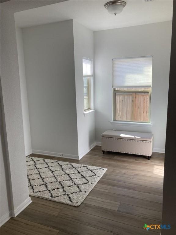 2629 Brand Iron Dr, San Marcos, TX 78666 - unfurnished room featuring baseboards and wood finished floors