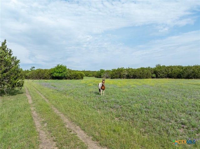 740 Old Georgetown Rd, Gatesville, TX 76528 - view of yard featuring driveway, an outbuilding, and a garage