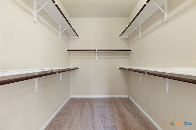 13512 Kearns Dr, Pflugerville, TX 78660 - walk in closet with carpet flooring